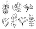 Doodle style vector illustration. simple set silhouettes of tropical leaves. line drawing palm leaves, monstera, ginkgo tree. isol Royalty Free Stock Photo